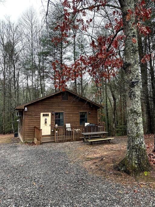 Private Cozy Cabin In The Woods With Great View Murphy Luaran gambar