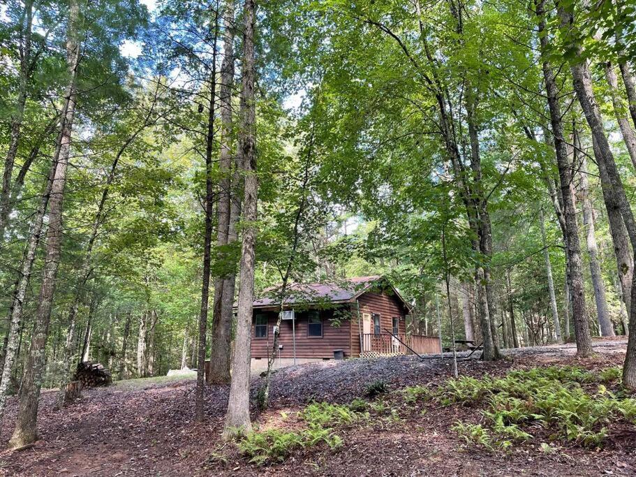 Private Cozy Cabin In The Woods With Great View Murphy Luaran gambar