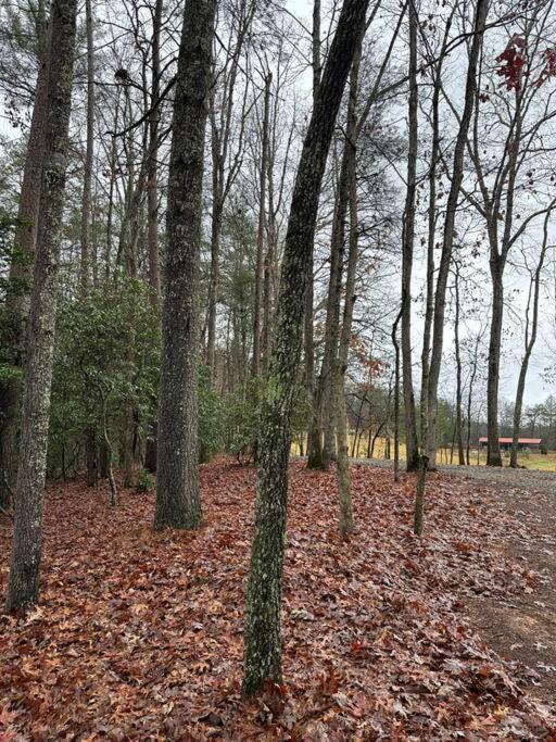 Private Cozy Cabin In The Woods With Great View Murphy Luaran gambar